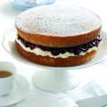 Country berry sponge cake