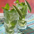 Low-calorie mojito